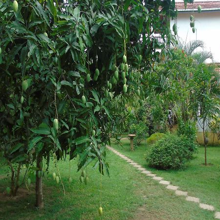 Secret Bay Hotel Matara Ngoại thất bức ảnh