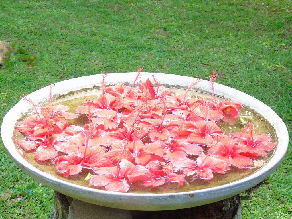 Secret Bay Hotel Matara Ngoại thất bức ảnh