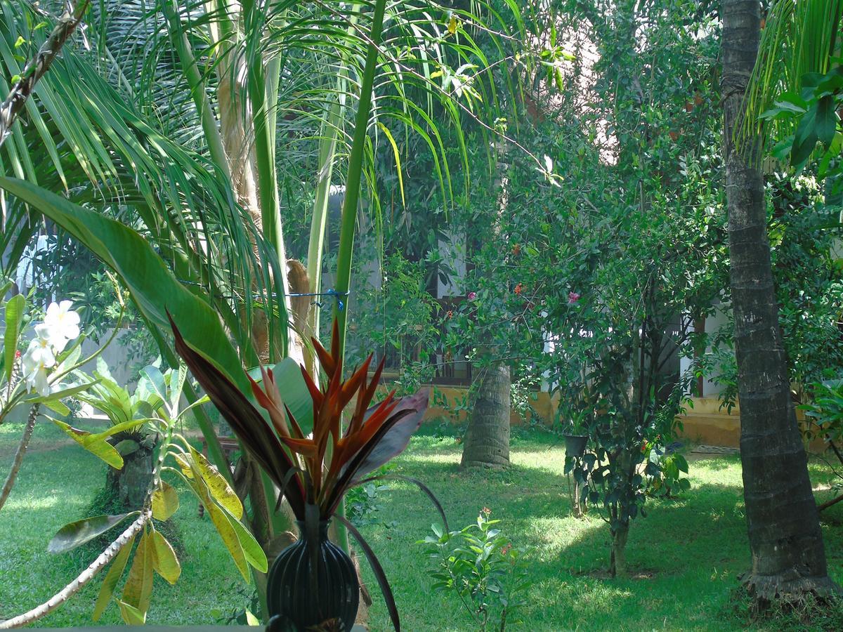 Secret Bay Hotel Matara Ngoại thất bức ảnh